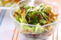 サニーレタスのサラダ