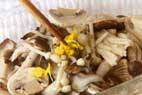 キノコの白ワイン蒸しの作り方6