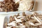 キノコの白ワイン蒸しの作り方1