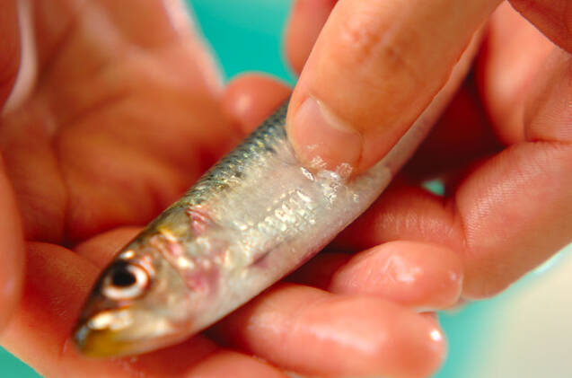 イワシの天ぷらの作り方の手順1