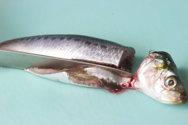 イワシの蒲焼きの作り方の手順1