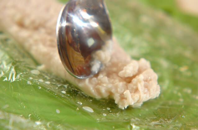 ささ身の塩麹漬けの作り方の手順3