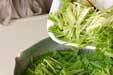 青菜の二色ゴマ和えの作り方4