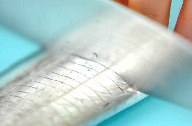 タチウオのハーブ風味揚げの作り方の手順1