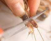 エビのグリーンカレーの作り方3