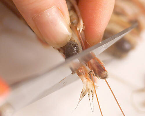 エビのグリーンカレーの作り方の手順3