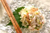 イカと香味野菜のサラダ