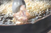 鶏とタケノコのひとくち揚げの作り方の手順4