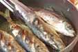 アジのハーブ焼きの作り方8