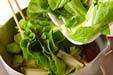 しろ菜の煮浸しの作り方の手順3