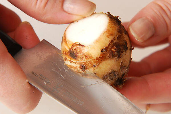 キヌカツギの作り方の手順1