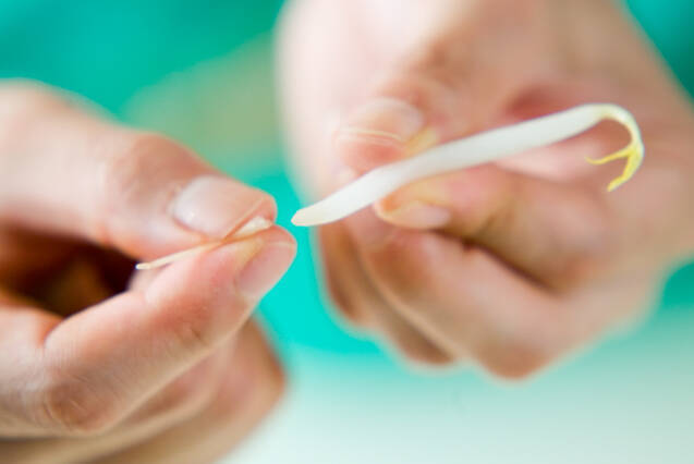 モヤシのナムルの作り方の手順1