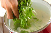 水菜の豆乳汁の作り方1