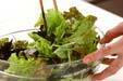 サニーレタスのサラダの作り方5