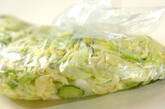 春キャベツのコールスローの作り方2