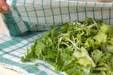 水菜のサラダの作り方1