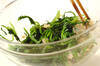 菊菜のワサビ和えの作り方の手順3