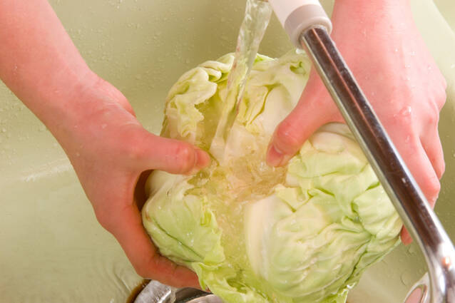 ロールキャベツの作り方の手順1