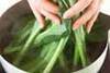 小松菜のからし和えの作り方の手順1