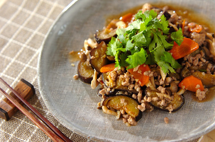 ナスとひき肉のエスニック炒め