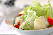 レタスのサラダ
