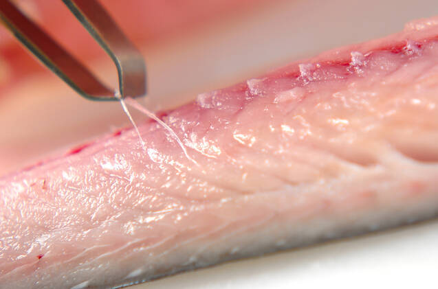 シメサバのおから和えの作り方の手順1