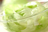 さっぱりレタスの作り方2