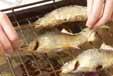 アユの塩焼きの作り方5