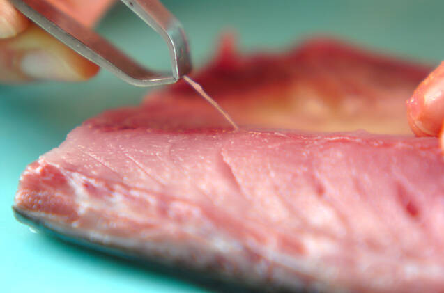 揚げサバの照り焼き丼の作り方の手順1