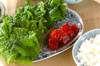 韓国マグロ寿司のサンチュ巻き