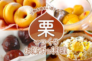 秋はやっぱり！ほっこり美味しい「栗」特集