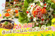 旬食材の菜の花やフキなどを使用した、春満開のご飯です。今日はちょっと特別な食卓にしてみませんか？
