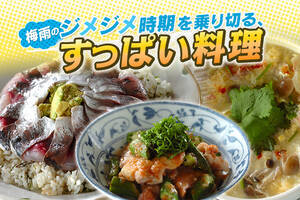 梅雨のジメジメ時期を乗り切る、すっぱい料理