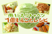 キャベツ1個を、1週間以内でおいしく食べきるレシピ。