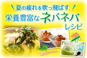 夏の疲れを吹っ飛ばす、栄養豊富なネバネバレシピ