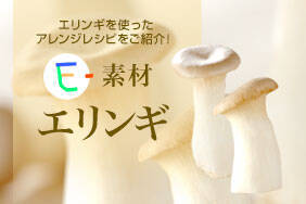 E-素材 エリンギ