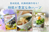 薬効のある植物として活用されている和ハーブ。これからの時期に和ハーブを効果的に摂り入れて、ジメジメした梅雨を乗り切ろう！