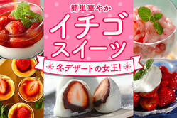 冬デザートの女王！簡単華やかイチゴスイーツ