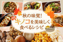 旬のキノコがたっぷり！キノコの旨味を存分に楽しめるレシピをご紹介