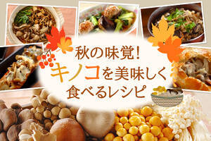 秋の味覚！キノコを美味しく食べるレシピ