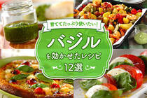 家庭園芸が今熱い！ジェノベーゼからガパオライスなど、バジルがあれば食卓がぐっと華やかに♪