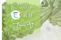 E-素材 ゴーヤ