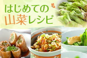 はじめての山菜レシピ