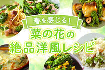 緑が鮮やかな菜の花は春を感じることができる旬の野菜です。今回は菜の花を使った絶品の洋風レシピをご紹介！