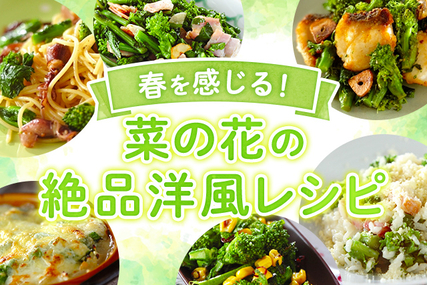 春を感じる！菜の花の絶品洋風レシピ