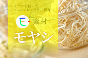 E-素材 モヤシ