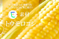 トウモロコシを使ったアレンジレシピをご紹介！