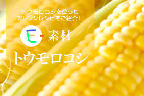 E-素材　トウモロコシ