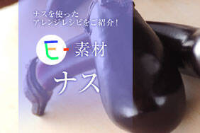 E-素材ナス
