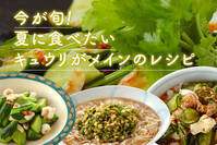 今が旬！夏に食べたいキュウリがメインのレシピ